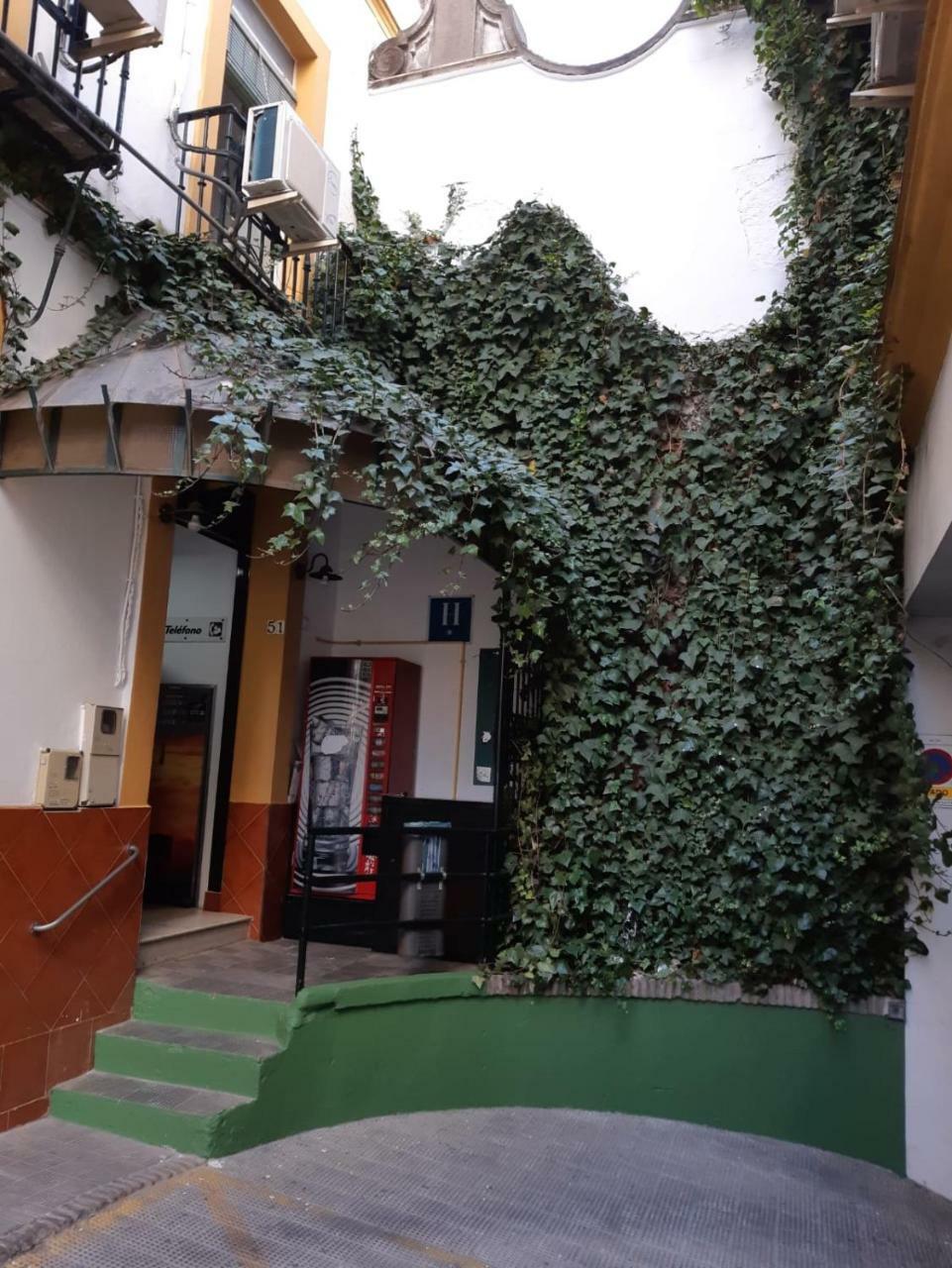 Hostal Alcobia Севілья Екстер'єр фото